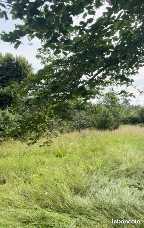 Terrain plat · à Brioude · 60 000 €