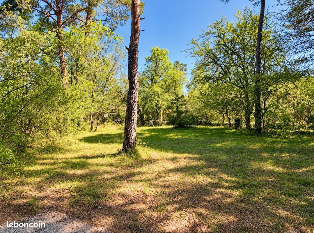 Terrain 881 m² · à Plan-d'Aups-Sainte-Baume · 155 000 €