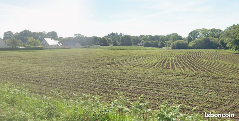 Terrain à bâtir de 336 m² à PLUNERET (56) · 95 900 €