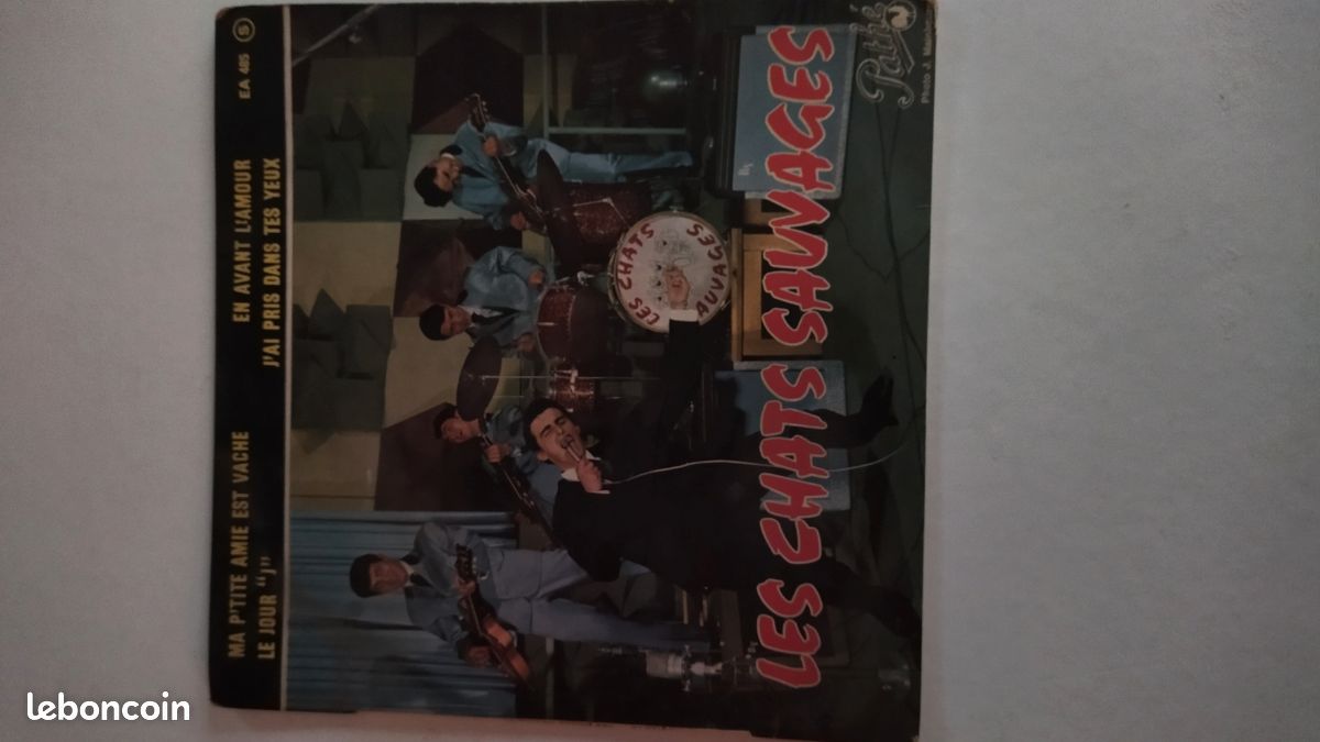 3 disques 45,tour les Chats Sauvages (image 3)