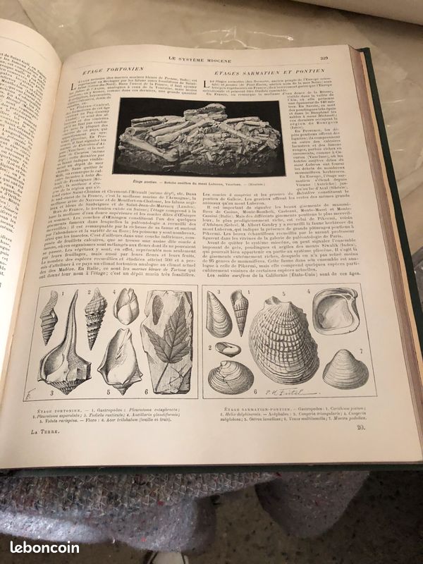 La terre par LAROUSSE (image 3)