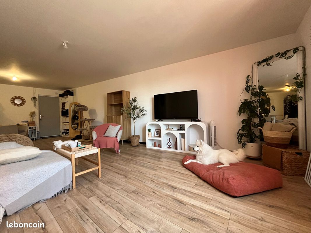 Appartement 3 pièces 80 m² · à Fourmies · 80 m² · 585 €