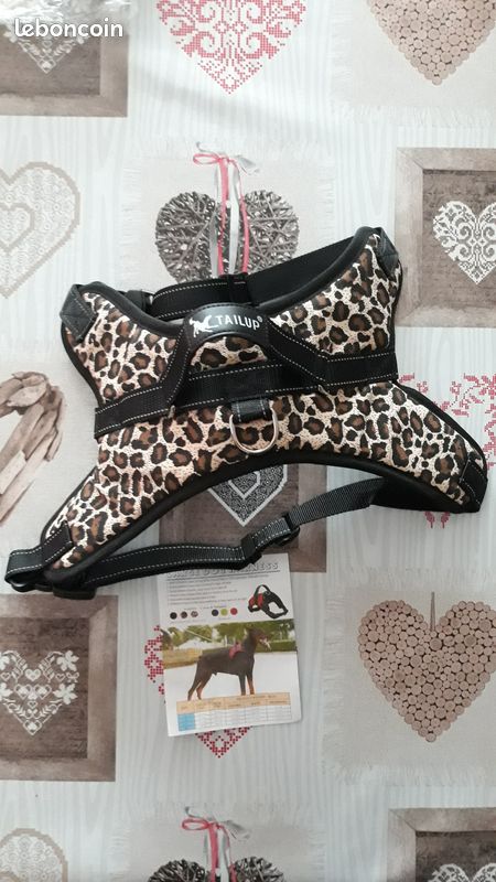 Harnais XL pour chien (image 1)