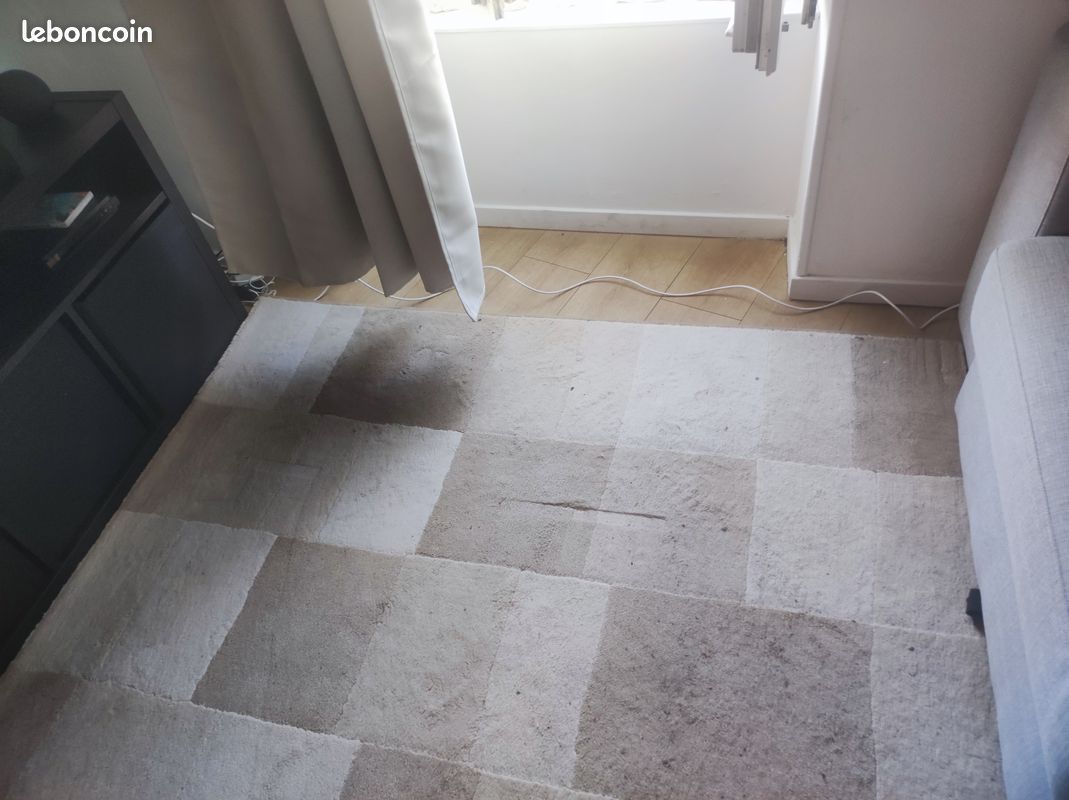 Tapis de salon beige (image 2)