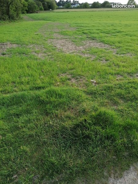 Terrain 498 m² Languidic · 74 900 €