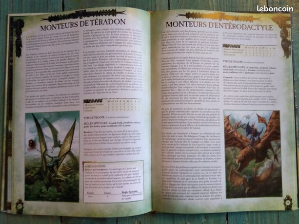 Livre D'armée Warhammer Hommes Lézards V8 (2013) – Games Workshop – FR