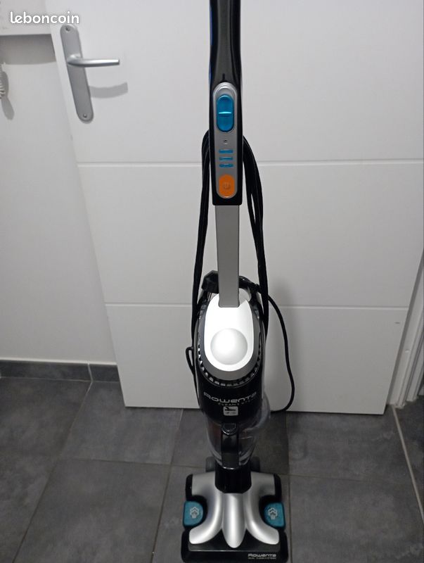 Balai vapeur clean and Steam Rowenta (image 1)