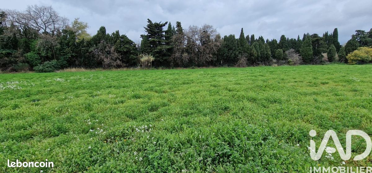 Terrain 329 m² Pézilla-la-Rivière (image 13)