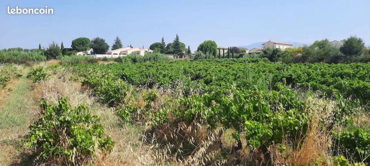 Terrain à bâtir de 927 m² à MAZAN (84) · 169 000 €