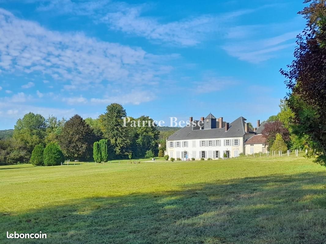 Maison 16 pièces 917 m² · à Bar-sur-Aube · 917 m² · 790 000 €