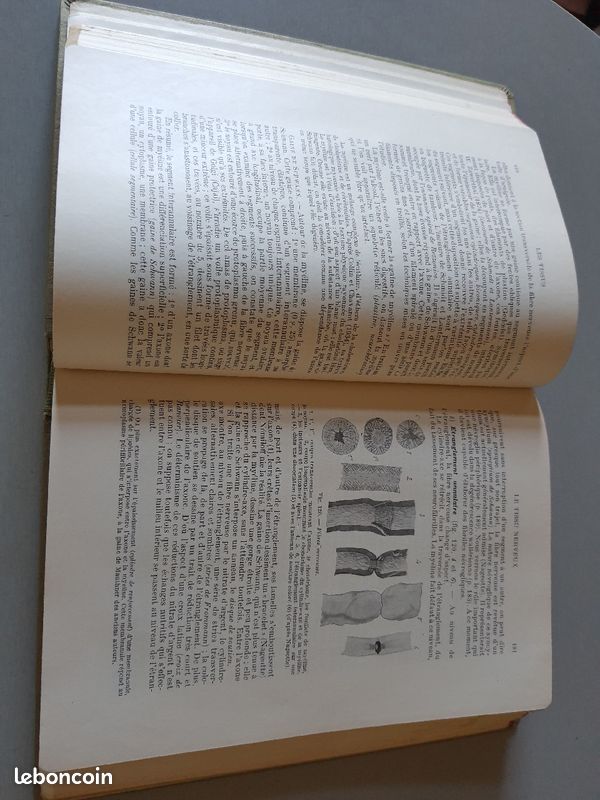 Livre ancien de médecine Précis d'histologie (image 4)