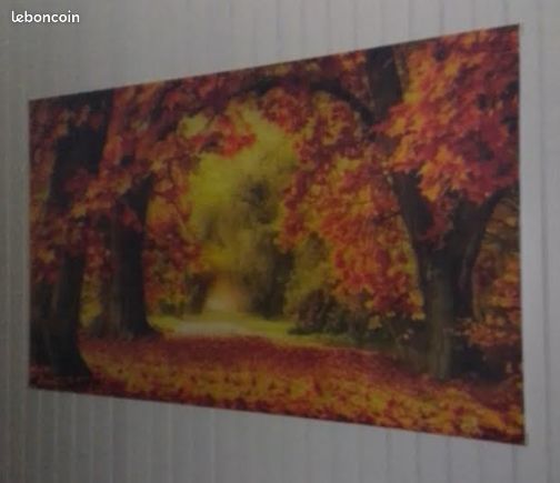 Fresque en tissu (image 2)