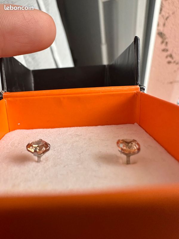 Boucle d’oreille (image 2)