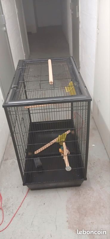 Cage pour perruches (image 2)