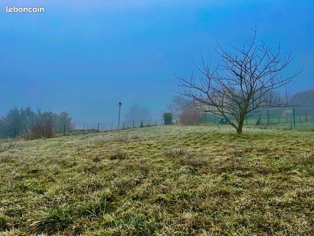 Terrain 765 m² Saint Didier Au Mont D Or
