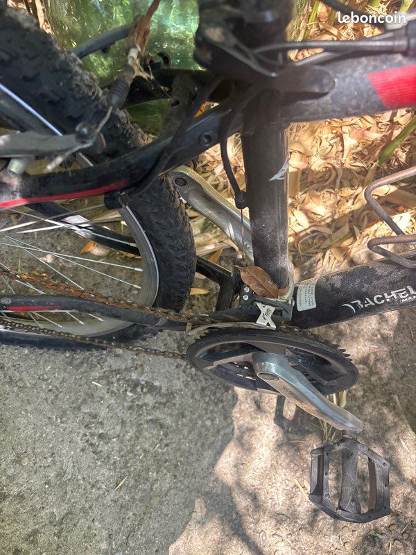 Vélo musculaire (image 3)