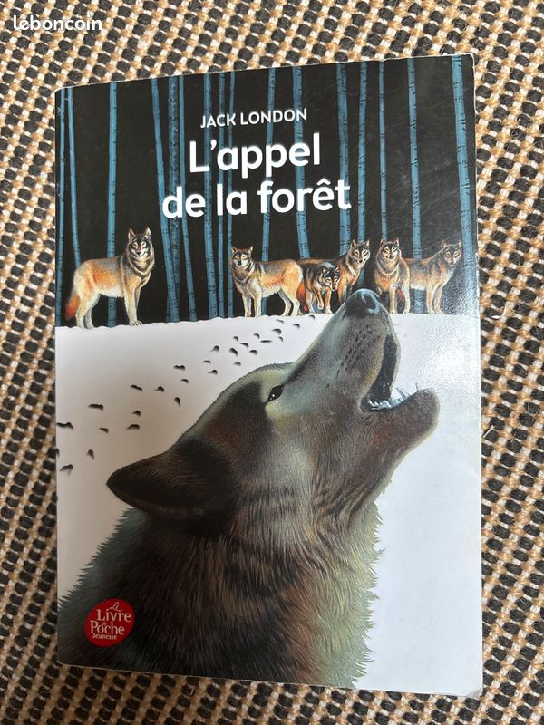 L’appel de la forêt (image 2)