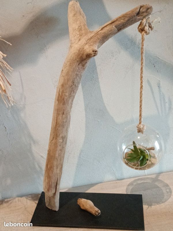 Grande Décoration Marine : Cactus En Bois Flotté - Sculpture Naturelle Unique