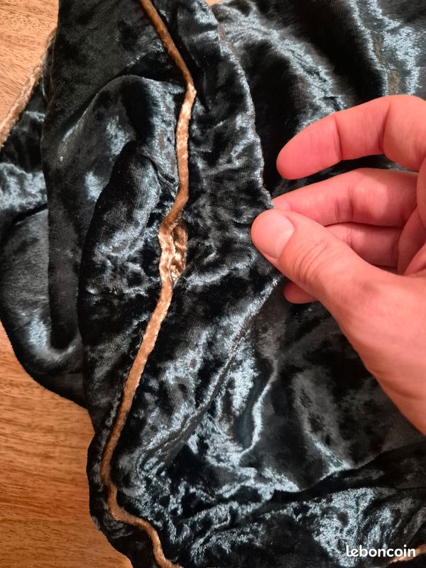 Housse de coussin AMPM en panne de velours (image 4)