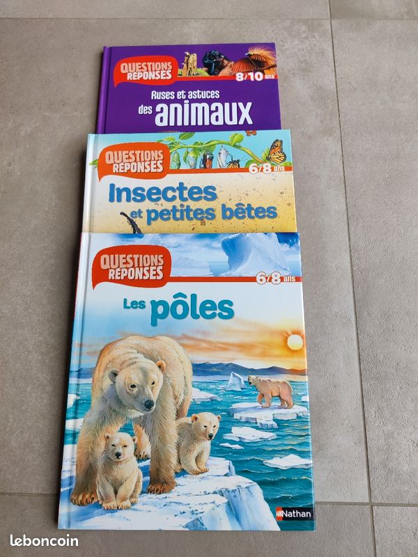Livres " Panorama " et livres " Questions/Réponses " (image 2)