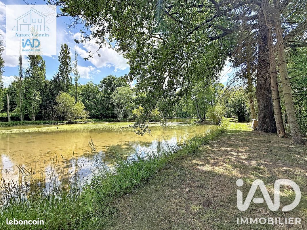 Terrain 21837 m² Chantenay-saint-imbert (image 20)