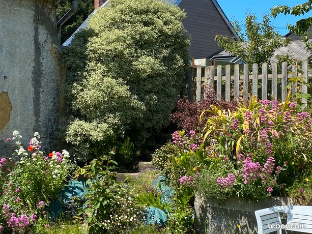 Jolie maison de charme à Granville — 3