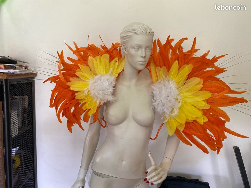 Costume de samba (image 4)