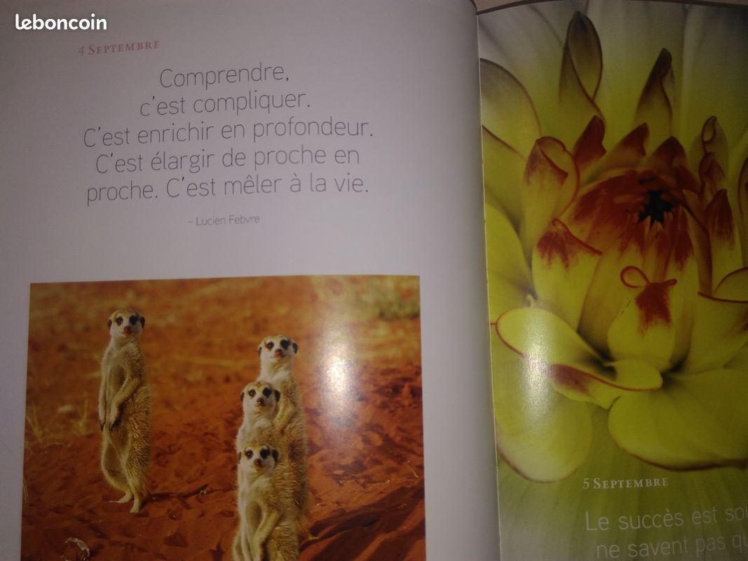 Une annee de bonheur (image 3)