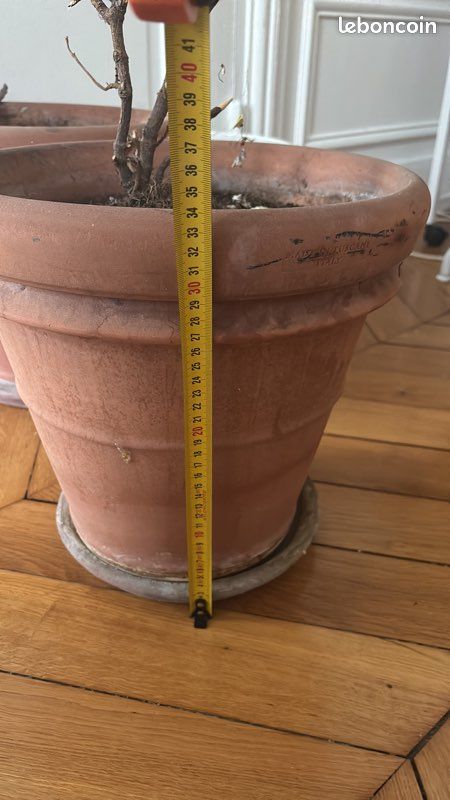 Pots de fleur en terre cuite (image 2)