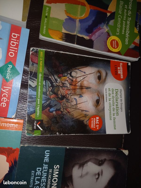 Livres classiques lycée divers (image 2)