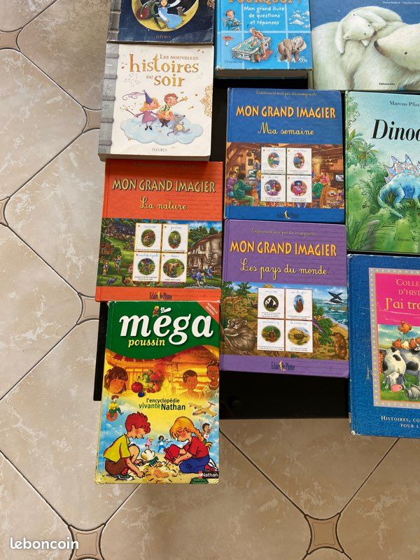 Livres enfant jeunesse (image 4)