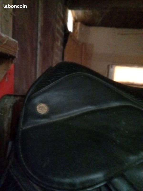 Selle (image 1)