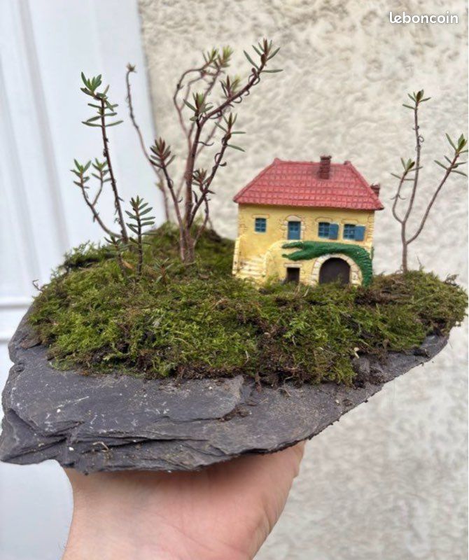 Paysage bonsai foret sur auge (image 2)