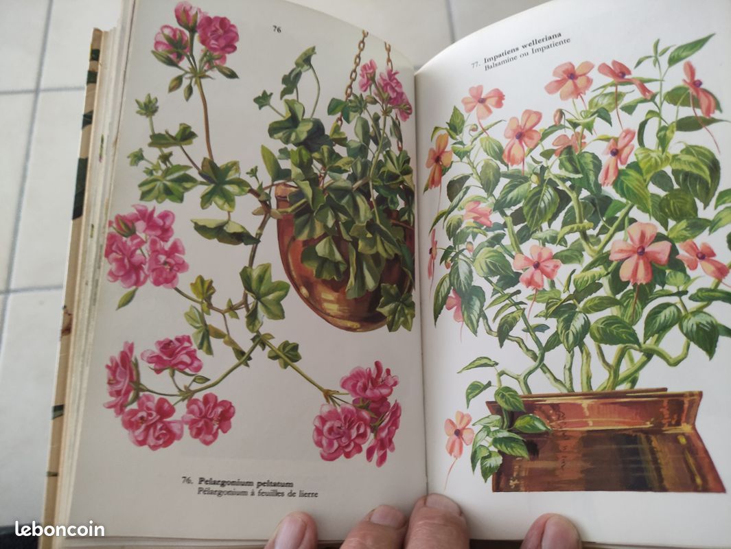 Livre plante et fleurs, édition fernand nathan (image 3)