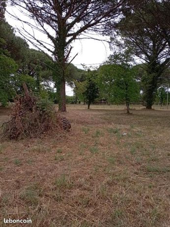 Terrain 1 090 m² Saint Macaire