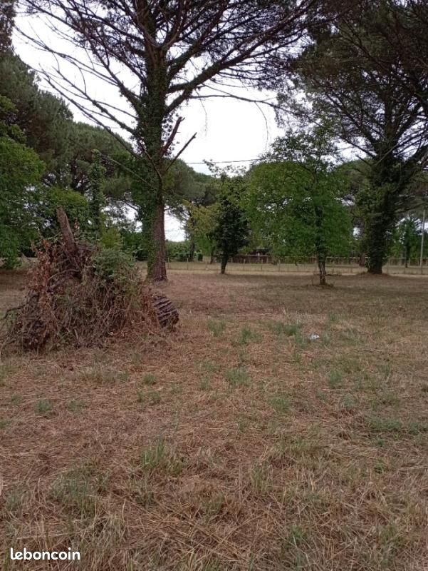 Terrain 1 041 m² Langon · 69 000 €