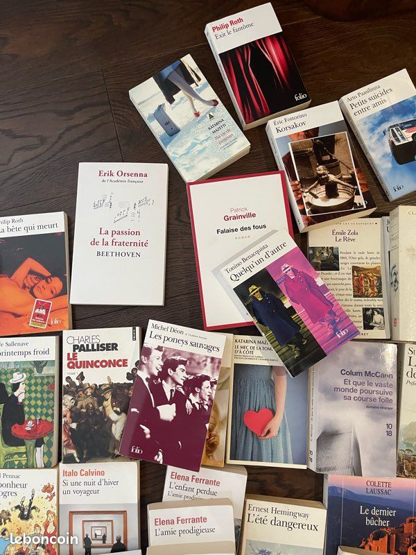 Lot de 60 livres de littérature format poche ou grand format tous auteurs lot ou unité (image 2)