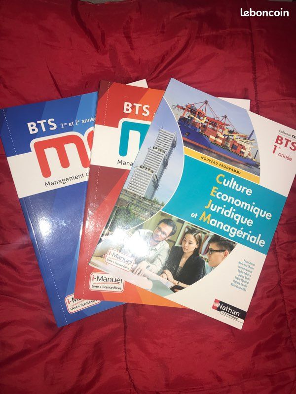Livres bts 1 ère et 2 ème année mco (image 4)
