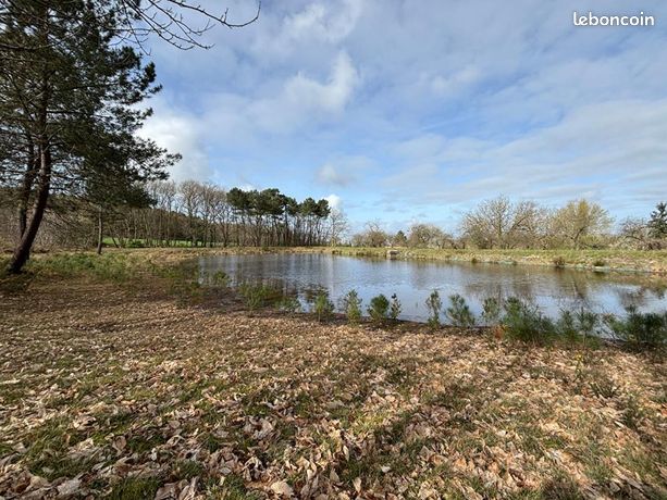 Terrain 38 685 m² Orches
