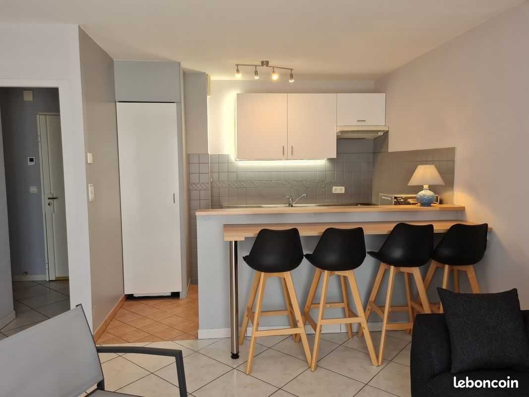 Studio 1 pièce 29 m² - Brive-la-Gaillarde 19100 (image 2)