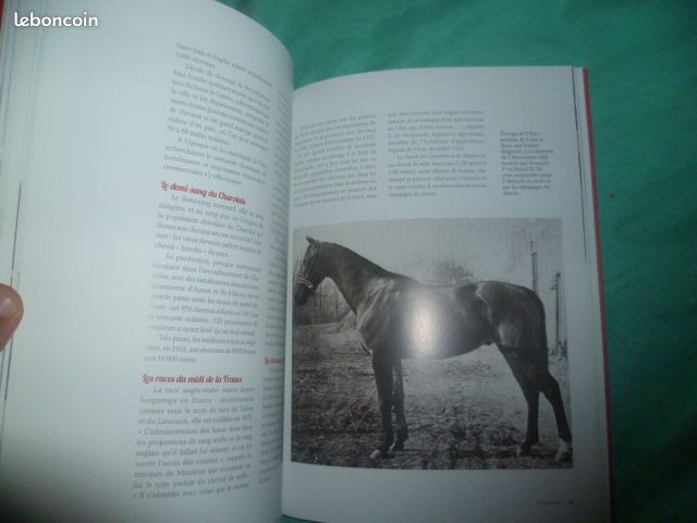 Il y a un siècle le cheval Rosine Lagier illustration (image 3)
