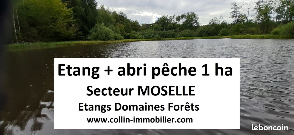 Terrain 10000 m² · à Sarrebourg · 10 000 m² · 77 000 €