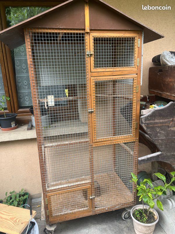 Cage oiseaux (image 3)