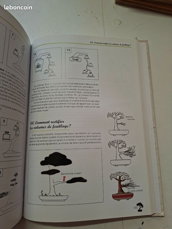 2229K: La Connaissance du Bonsaï Tome 1 Benoît Grandjean Édisud Relié (image 3)