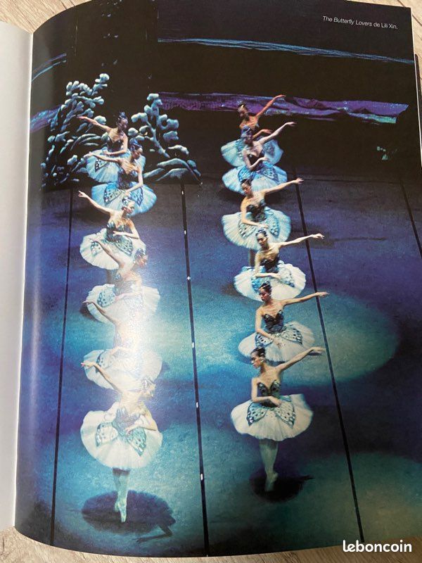 Livre « Leçon de danse » (image 8)