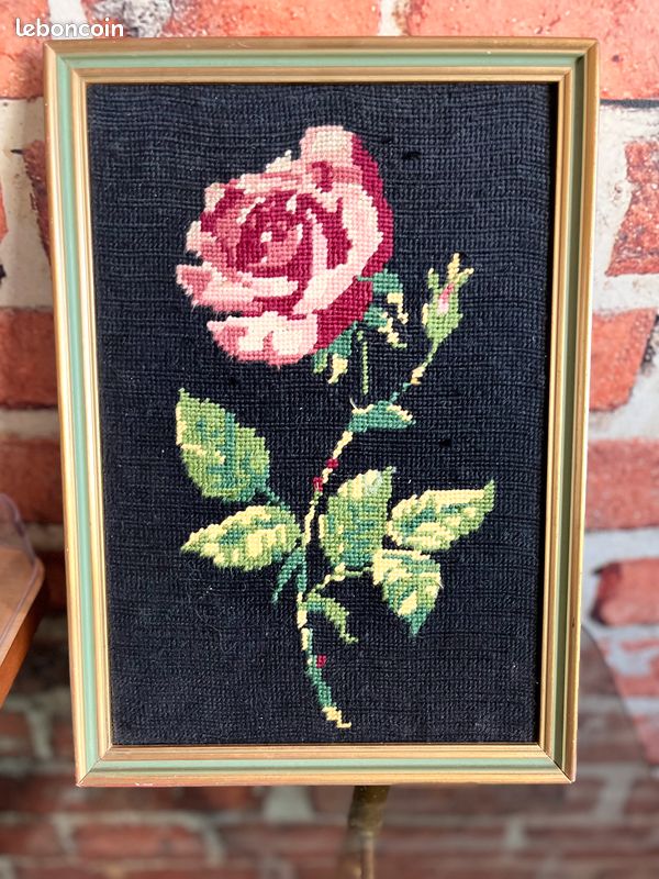 Caneva rose (image 1)
