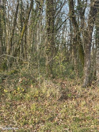 Vend 4 parcelles de bois