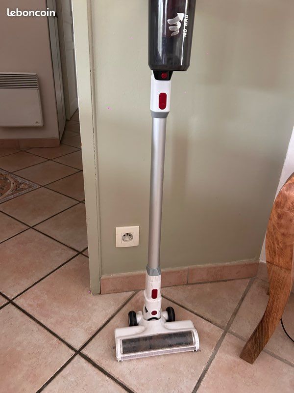Aspirateur sans fil Rowenta (image 1)