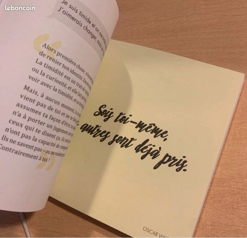 Livre Dring dring, Allô j'écoute ? De Romy (image 3)