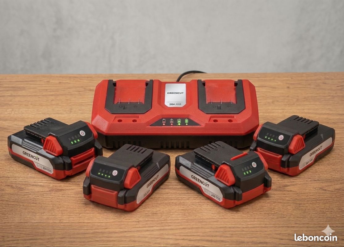 Batteries + chargeur greencut (image 1)